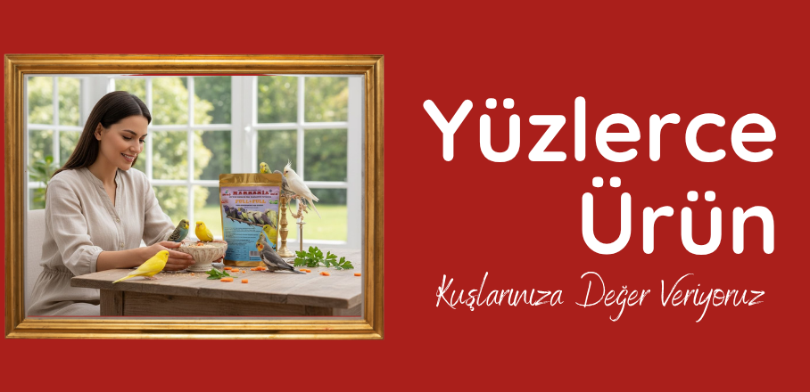Petciyiz.Com Petshop Ürünleri Burada