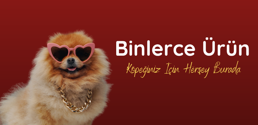 Petciyiz.Com Petshop Ürünleri Burada
