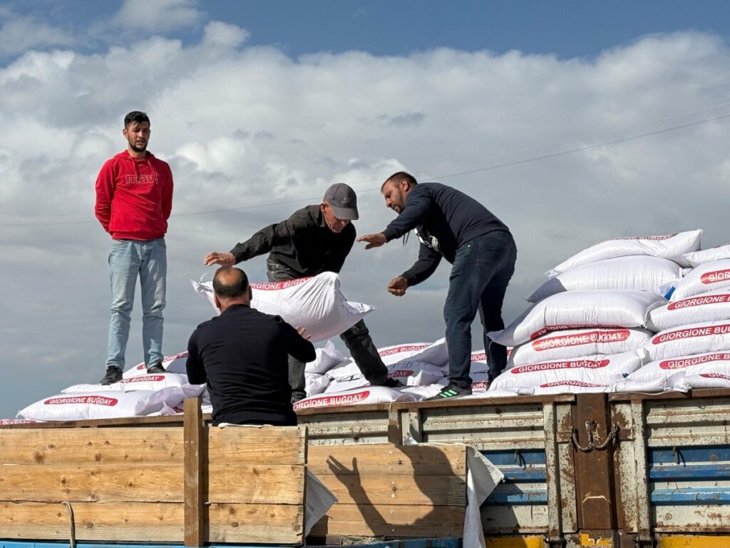 Sincan Belediyesi’nden Çiftçilere %75 Hibeli Buğday Tohumu Desteği